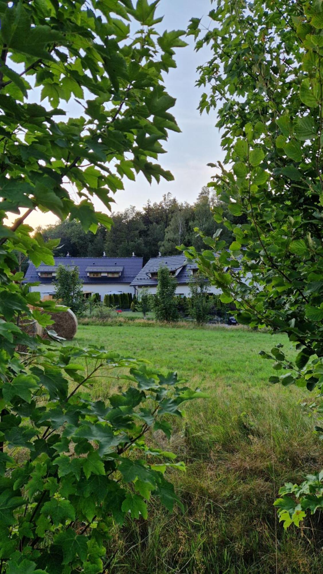 Widokowo - Domki Z Widokiem Na Sniezke Z Jacuzzi I Sauna Karpacz Esterno foto